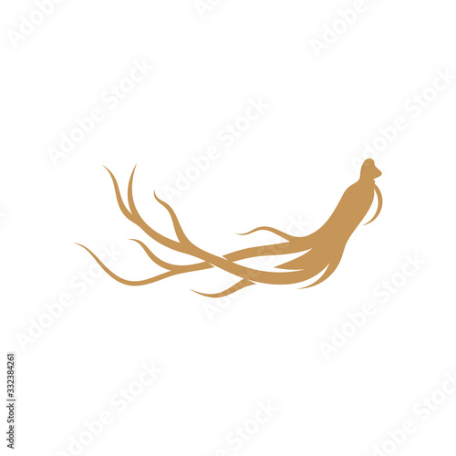 Fototapeta Ginseng logo design vector template. Ginseng root on white background