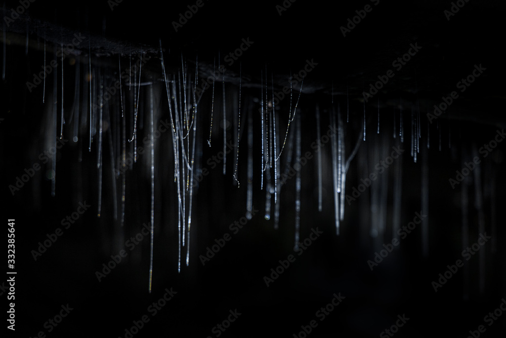 Glow worms webs in a cave