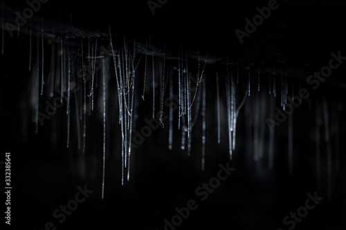 Glow worms webs in a cave