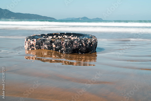 An old and used truck or tractor tire with shells attached and living on it washed ashore on the beach. 