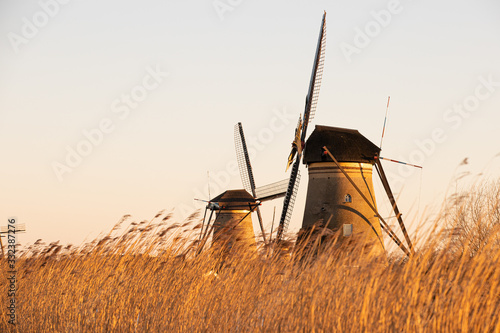 Windmills kinderdijk netherland during sunset