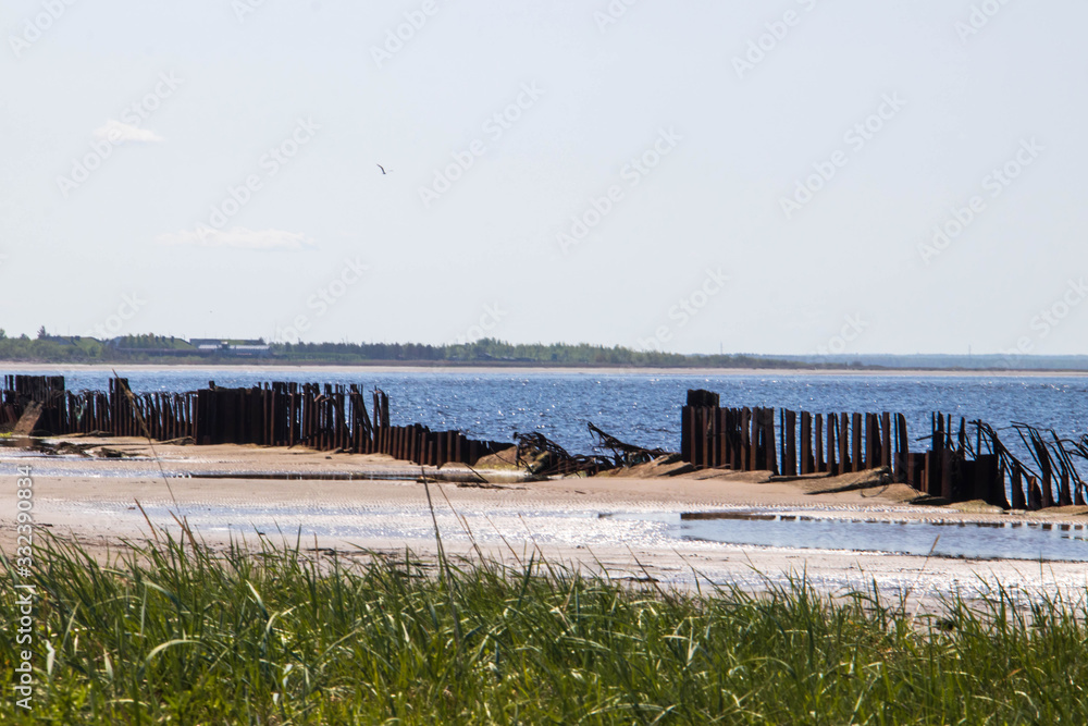 The harsh White sea. Cold summer day on Yagry island, Severodvinsk