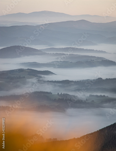 Fototapeta Naklejka Na Ścianę i Meble -  Sunrise over misty valley with trees