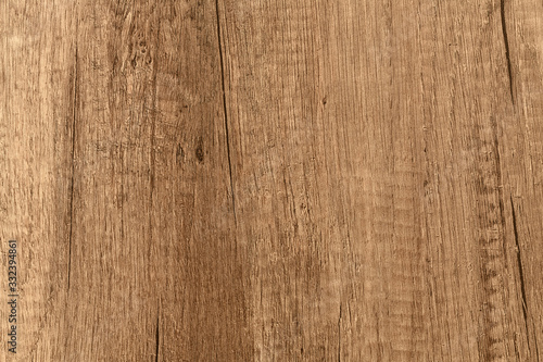 Texture of wood background closeup