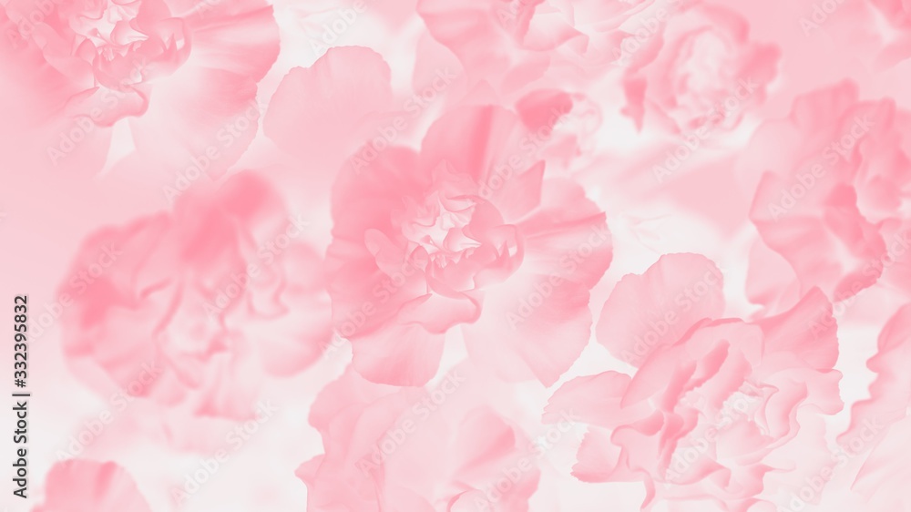 Pale pink abstract background. Floral gradient background, delicate carnation flowers pattern, 16:9 panoramic format