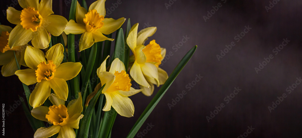 Bouquet of yellow daffodils on black background. Spring blooming yellow flowers green leaves, Easter greeting card, holidays website banner low key modern style. Dark and moody nature closeup header. Bouquet of yellow daffodils on black background. Spring blooming yellow flowers green leaves, Easter greeting card, holidays website banner low key modern style. Dark and moody nature closeup header.