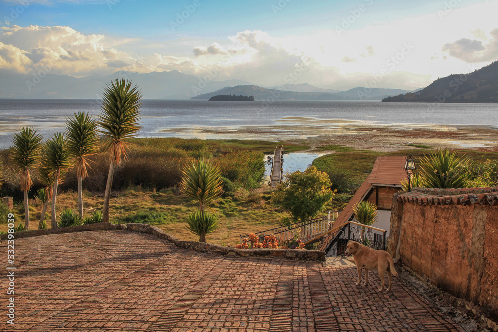 Landscape of Columbia showing the Lago de Tota, Columbia's biggest lake, in the evening light shot from a balcony with a dog