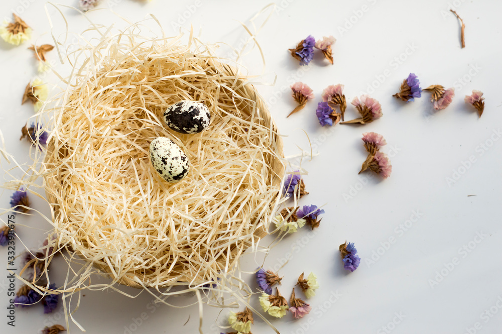 Naklejka premium quail eggs in a nest
