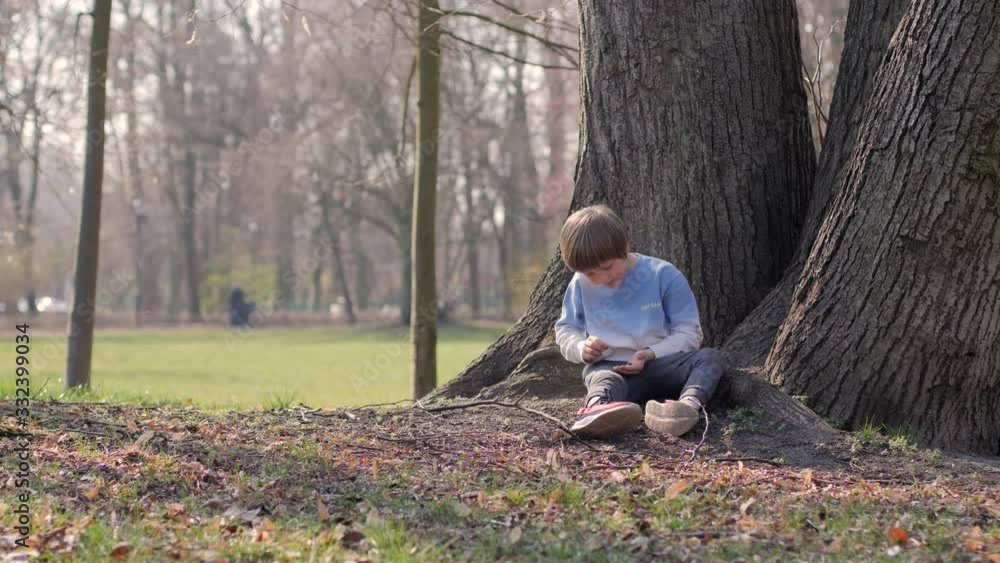 Little boy kid play alone sit under the tree on park ground watch geather some wooden sticks nature cognition Little boy kid play alone sit under the tree on park ground watch geather some wooden sticks nature cognition