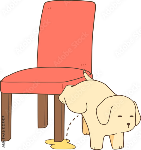 ゴールデンレトリバーの子犬（椅子におしっこ）