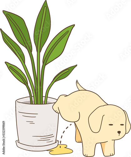 ゴールデンレトリバーの子犬（植木鉢におしっこ）