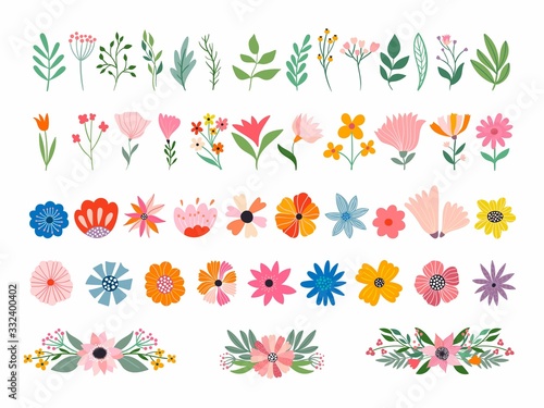 Flowers and plants collection with different elements isolated on white