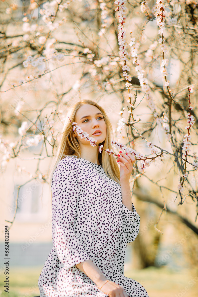 A young woman stands among blossoming apricot trees. A young woman stands among blossoming apricot trees.