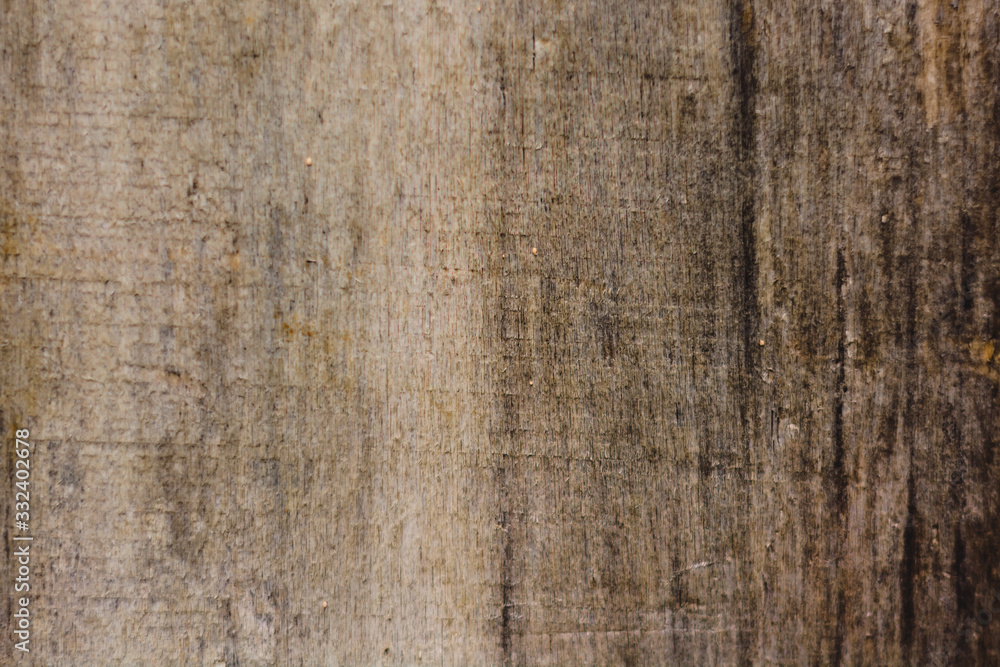 old tree structure can be used as background old tree structure can be used as background