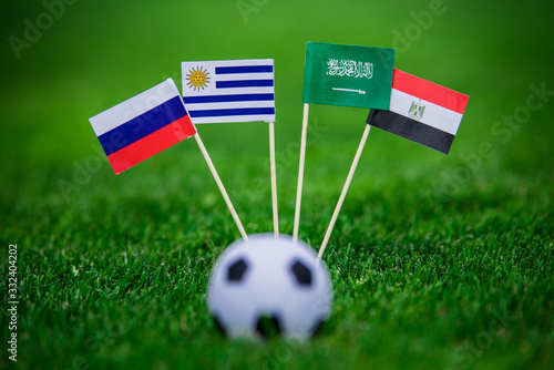 National Flags of Russia, Saudi Arabia, Egypt, Uruguay. Flags on green grass on football stadium