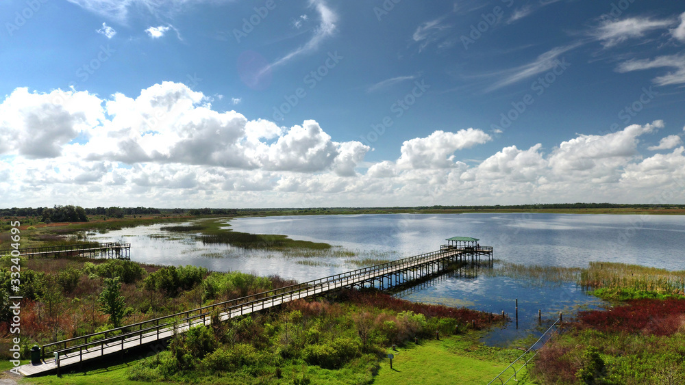 Obraz premium Nature Conservatory Twin Oaks Park located at Osceola County in Central Florida