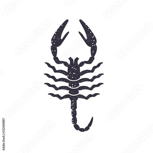 Zodiac sign Scorpio. The symbol of the astrological horoscope.