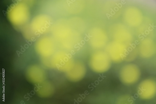 abstract green and yellow bokeh background