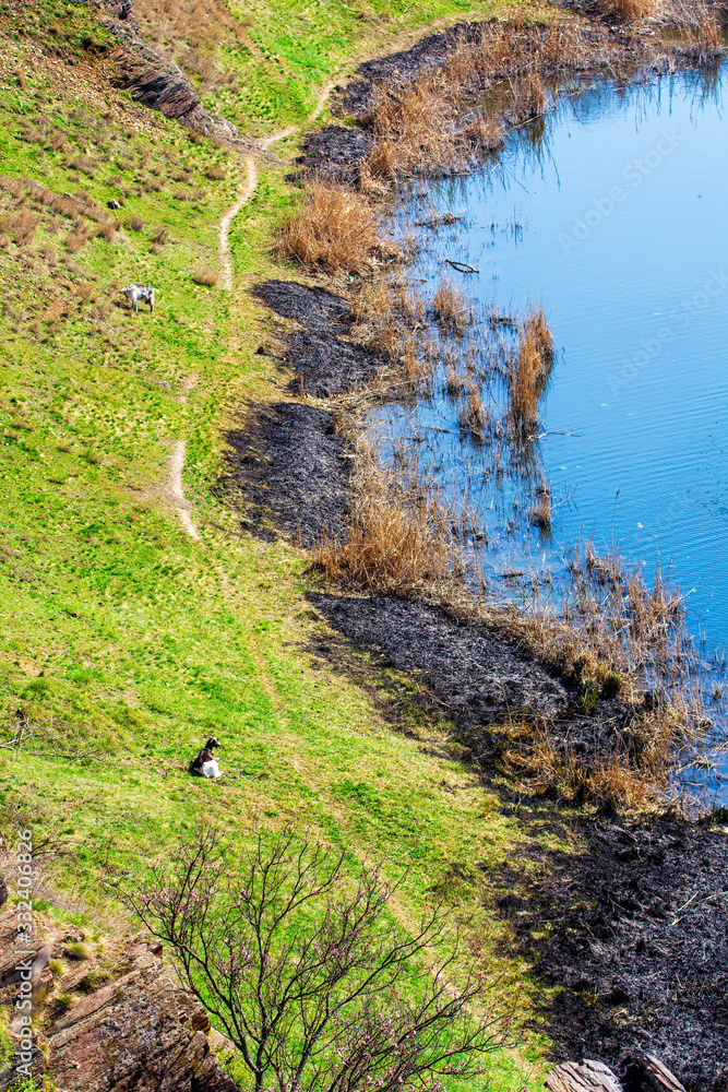 Fototapeta premium The burnt shore of the lake. Top view.