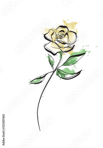 Flower Rose, sketch, painting. Hand drawing. Yellow bud, petals, stem and leaves. Yellow rose illustration.