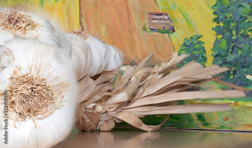Close-up of a string of garlic.Excellent and obligatory complement to stew, stir-fry, cook, cook and make other succulent culinary dishes