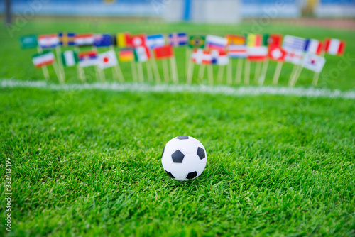 Flags of all football nations on green grass. Football ball  Fans  support photo  edit space