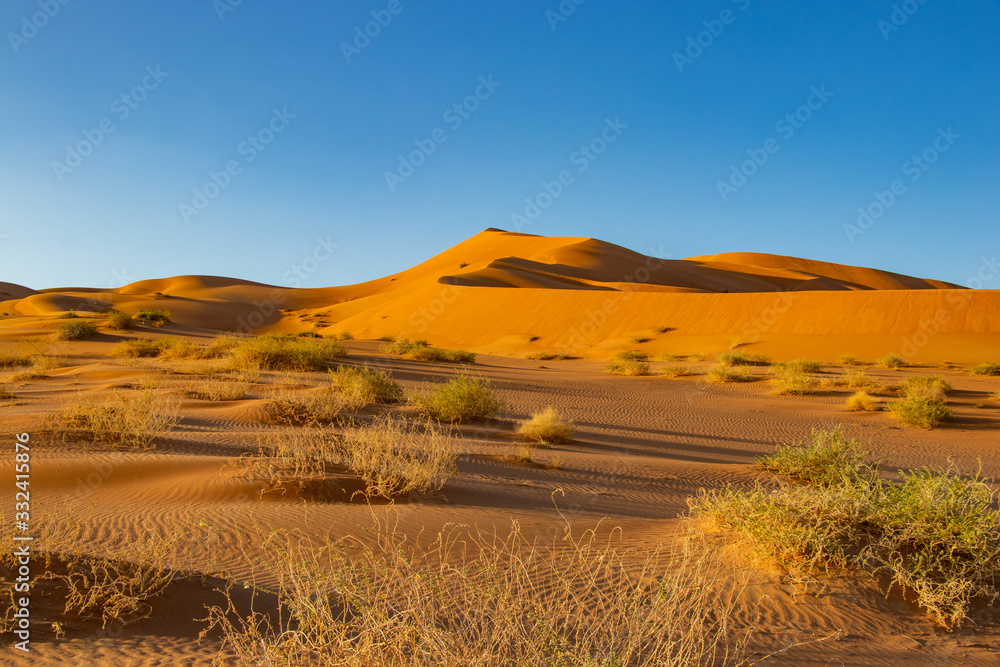 Fototapeta premium Dunes in Rub al Khali the empty quarter between Oman and Saudi Arabia near Salalah
