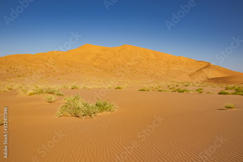 Dunes in Rub al Khali the empty quarter between Oman and Saudi Arabia near Slalah