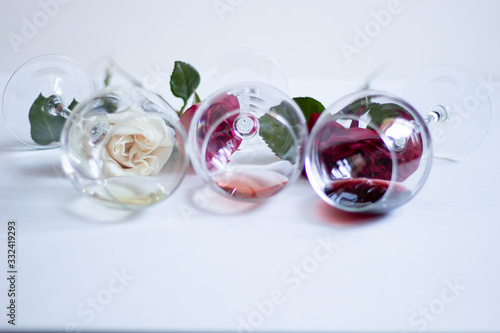 Laying glasses with white, pink, red wine and behind rose flowers on white background