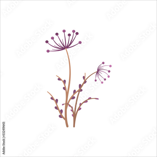 Meadow plant isolated on white background. Wild field plant with leaves  stem and flowers. Simple floral element template in gradient color style. Cartoon symbol logo or icon. Flat vector illustration