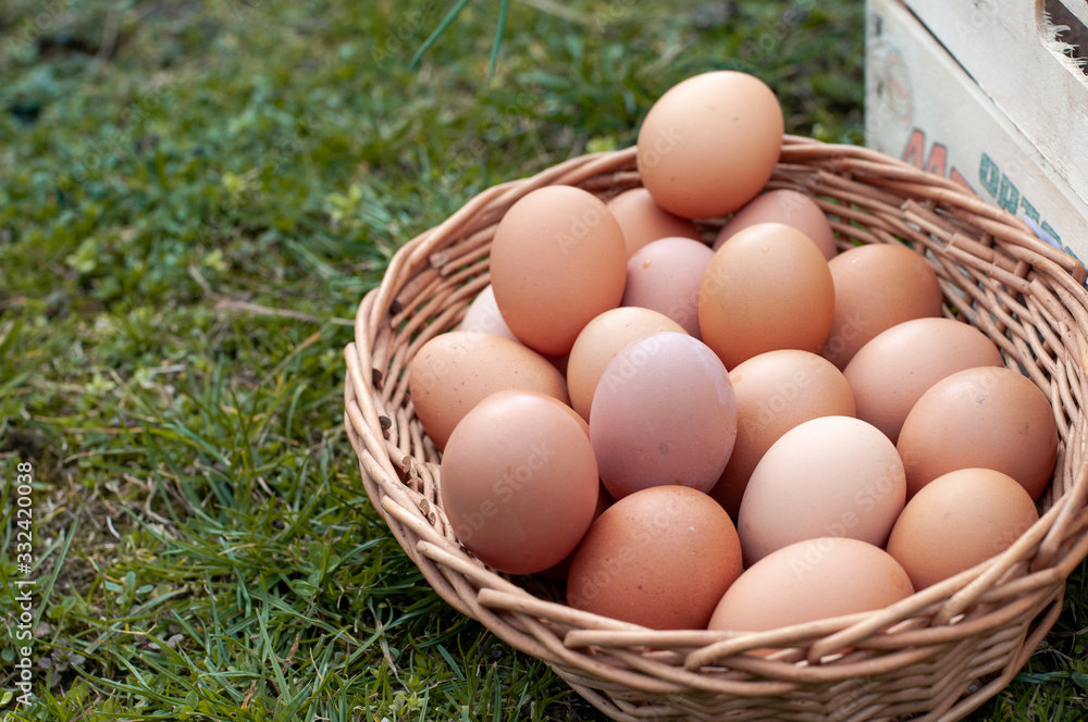 Fresh farm products - eggs. Fresh farm products - eggs.