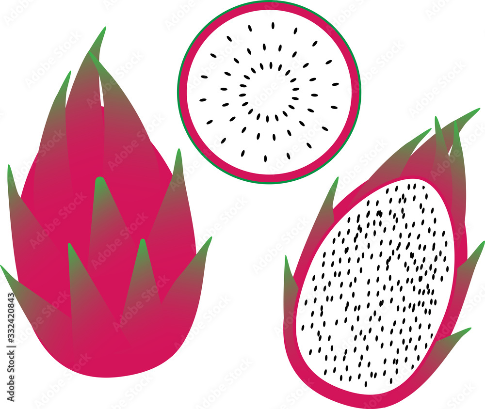dragon fruit pitahaya vector image whole fruit and slices dragon fruit pitahaya vector image whole fruit and slices