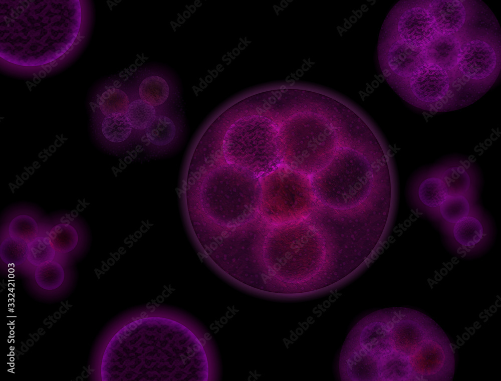 cell divide, virus, cell, bacteria, grem cell divide, virus, cell, bacteria, grem
