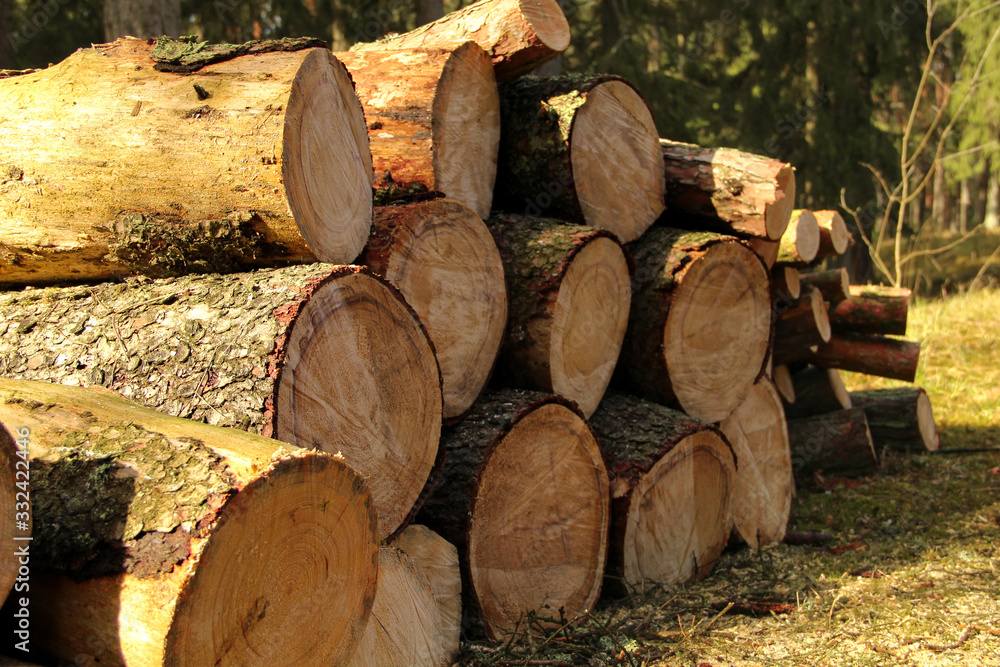 Stack of sawed trees. Lots of wooden beams that were put in a heap. Stack of sawed trees. Lots of wooden beams that were put in a heap.