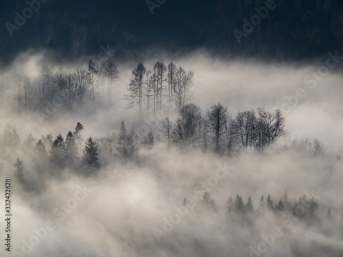 Nebellandschaft im Nationalpark S  chsische Schweiz