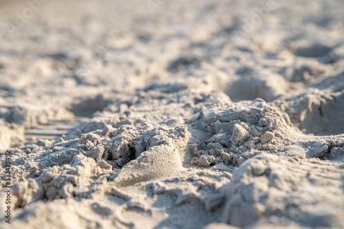 beach sand with print of shoes  legs and animal paws