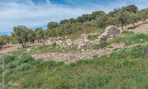 View of countryside with olive trees. Villanueva of Trabuco. Malaga. Spain.