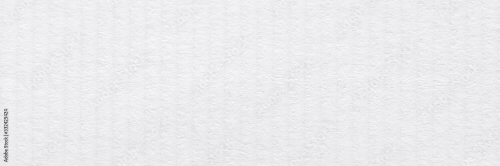 Fototapeta premium Light texture for your new design view in white tone.