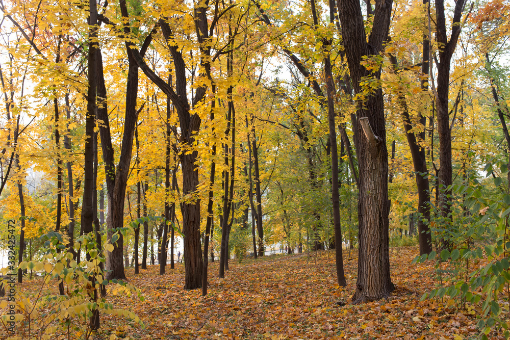 Beautiful autumn view in parks of Chisinau.