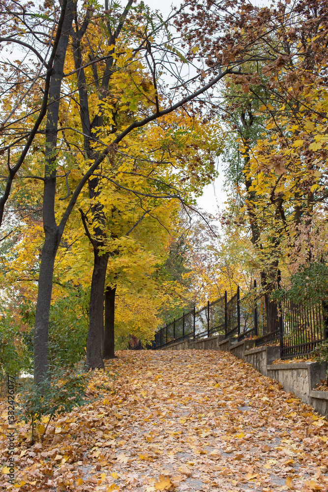 Wonderful autumn days in the city park.