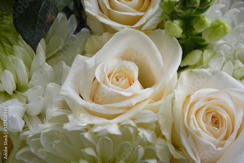 Group of Beautiful White Roses Close Up