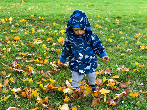 Toddler enjoying the garden in Autumn