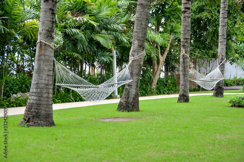 Relaxation area in park with hammock between coconut palm tree.