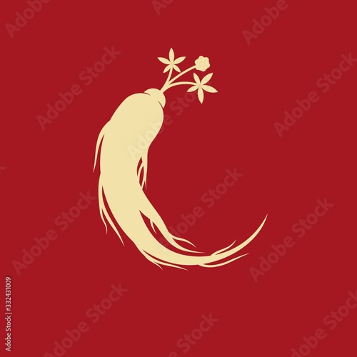 Ginseng, root, leaf, and berry, vector icon illustration design template