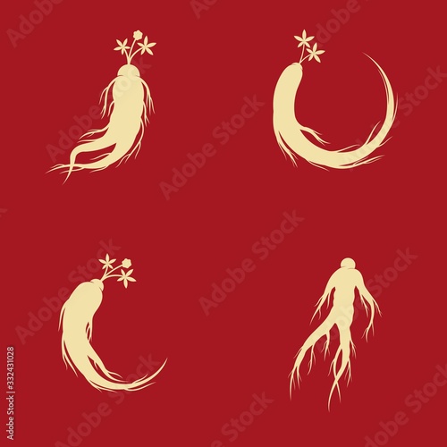 Ginseng, root, leaf, and berry, vector icon illustration design template