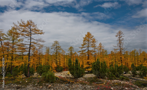 Russia. Magadan. The amazing beauty of the autumn of the Far East. 