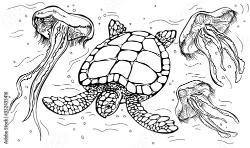 Hand drawn vector sketch of turtle and jellyfish. Vintage illustration in line art style.