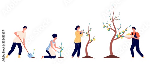 Growth money. Business investment revenue, prosperity financial fund. People seed coins and put rich tree. Young businessman vector concept. Investment growth money, financial income cash illustration