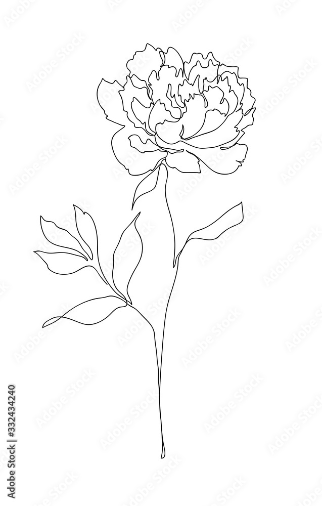 Fototapeta Beautiful peony flower. Line art concept design. Continuous line drawing. Stylized flower symbol. Vector illustration.