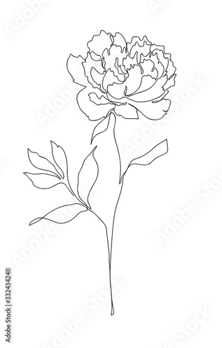 Beautiful peony flower. Line art concept design. Continuous line drawing. Stylized flower symbol. Vector illustration.